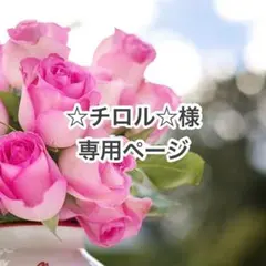 ☆チロル☆様 リクエスト 5点 まとめ商品