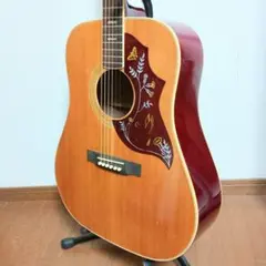 2025年最新】ARIA アコースティックギターの人気アイテム - メルカリ