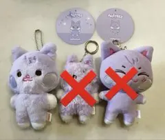 aniteez アイドル