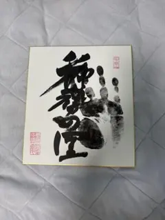 大の里サイン　手形 Amazon.co.jp: 大相撲☆大の里☆肉筆サイン手形 : おもちゃ