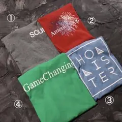 ホリスター Tシャツ