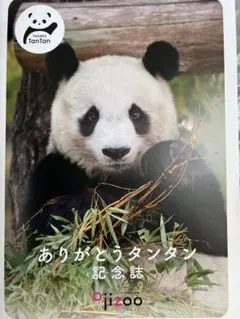2026年最新】王子動物園 タンタンの人気アイテム - メルカリ