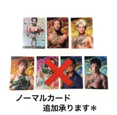 ライジン ウエハース 朝倉未来 鈴木斎藤 伊澤 シク その他ノーマルカード α枚