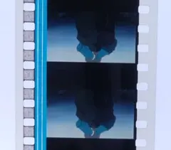 長門有希 復刻フィルムブックマーク 涼宮ハルヒの消失 リバイバル 入場者特典