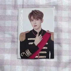 ウォヌ トレカ SEVENTEEN セブチ