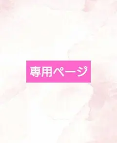 専用ページ