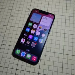 イ*ン様 Apple iPhone 13 mini 128GB ミッドナイト 本