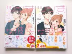 Item thumbnail for item b61121e3-9e5d-4c6b-a23b-c2e0298a133d