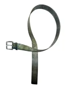 Item thumbnail for item 26513786-37e9-4728-af2a-facd95b9e621