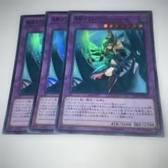 16131 竜騎士ブラック・マジシャンガール 3枚セット