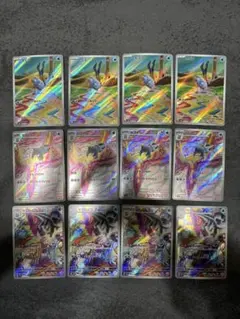 セビエ セゴール セグレイブ AR SV2P スノーハザード