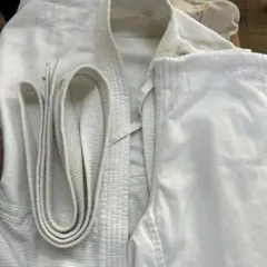 Item thumbnail for item 09ab173c-568e-4336-a0b5-9ecd24465d15