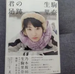 Item thumbnail for item e5b11b15-82c6-442b-8bba-ecca800b6216