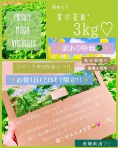 ❤️3kg!1800円✨【訳あり】菜の花箱パンパン!!栽培期間農薬不使用❤️