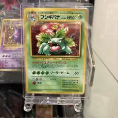 フシギバナ とりかえっこプリーズ バンギラス 旧裏 - メルカリ