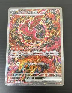 【美品】オドリドリsar 楽天市場】オドリドリ SARの通販