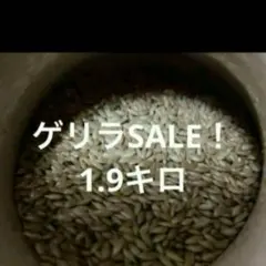 Item thumbnail for item 8ae24beb-669d-4c85-a95a-dac9015470e5