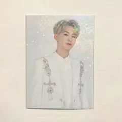 SEVENTEEN トレカ ホシ