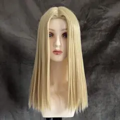 【No.6】サンプル品　ウィッグオーダー受付中