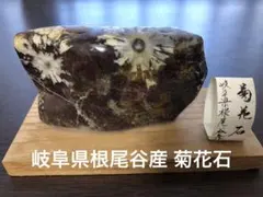 2026年最新】鑑賞石置物の人気アイテム - メルカリ