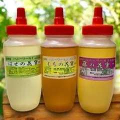希少ふじ蜜　もち蜜　はぜ蜜　各300g　 特選生はちみつ　国産ピュアのサムネイル