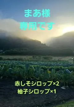 赤しそシロップ×2本　柚子シロップ×1本　【農薬不使用】のサムネイル
