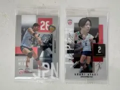 日本代表女子バレー ツインウエハース 荒木彩花 秋本美空