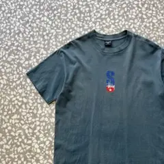 【希少カラー、90年代アメリカ製】オールドステューシー古着シングルステッチ半袖