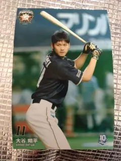 大谷翔平 2013 ハイライトフォト No.376 日本ハム 球団公式写真