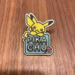 暗闇で光るピンズコレクション ピカチュウ ポケモンセンター