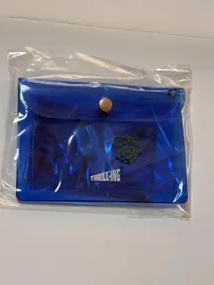 THEBOYZ トレカ THRILLRIDE MD トレカ セット 青