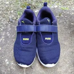 Item thumbnail for item 8873567f-6131-4dd2-bf97-9a8d6345d456