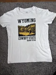 THE NORTH FACE WYOMING Tシャツ　Lのサムネイル
