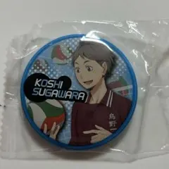 ハイキュー　菅原考支　缶バッジ