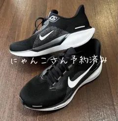 Nike エア ズーム ペガサス 41 ワイド
