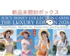 新品 ジューシーハニー THE LUXURY EDITION 2026 - メルカリ