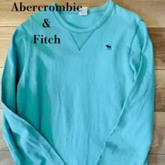 り*り様 アバクロンビー&フィッチ ロンT M ターコイズブルー 刺繍ロゴ 古着