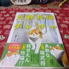 元野良猫チャチャ 本日も見まわり中