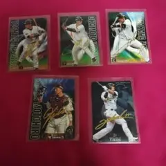 Item thumbnail for item 1293d816-4b1b-48f2-a771-4e9edd71a3e9