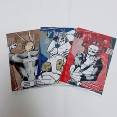 ヒロアカ 原作 メタリック ポストカード コレクション 切島鋭児郎