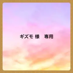 ギズモ 様　専用です