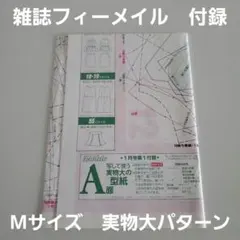最終価格【型紙・パターン】female （フィーメイル）1998年1月付録AB面