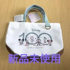 Disney 100 Years of Wonder バッグ