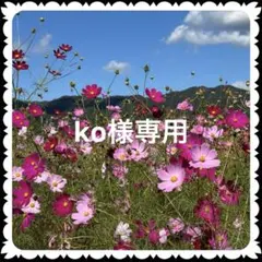 ko様専用ページ•*¨*•.¸¸♬︎