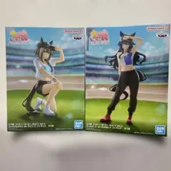 ウマ娘 ヴィルシーナ　シュヴァルグラン　BoC'z we\n 2種セット