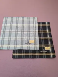 Item thumbnail for item f1fe1bf2-3009-4bb1-836b-47c9fd33852e