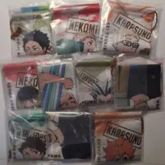 ハイキュー ペイントスーツ ガーランドコレクション 全10種