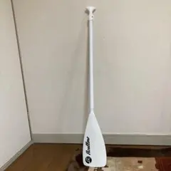 Item thumbnail for item 1e3ecefe-5ad7-4bbd-acec-7c2ceed72918