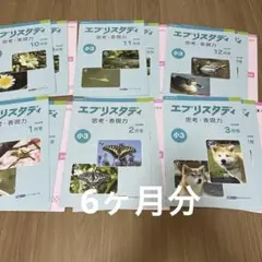 Z会　エブリスタディ　小4 Yahoo!オークション - Z会 小4 中学受験コース エブリスタディ おため