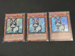 2026年最新】レスキューラビットの人気アイテム - メルカリ